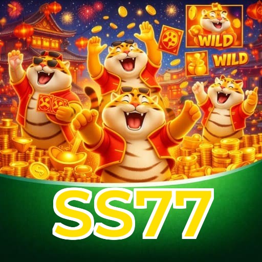 Termos e Condições Transparentes SS77